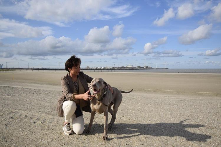 Hotel Ter Duinen - La Guera Knokke-Heist Exteriör bild